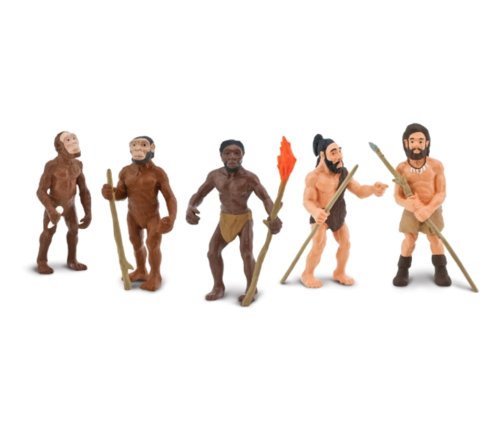 5 figures evolució de l'home