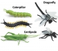 Insectes de joguina