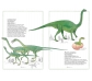 cat Inventario ilustrado de dinosaurios 