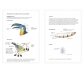 Inventario ilustrado de aves