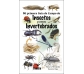 Mi primera Guía de Campo de Insectos y otros Invertebrados