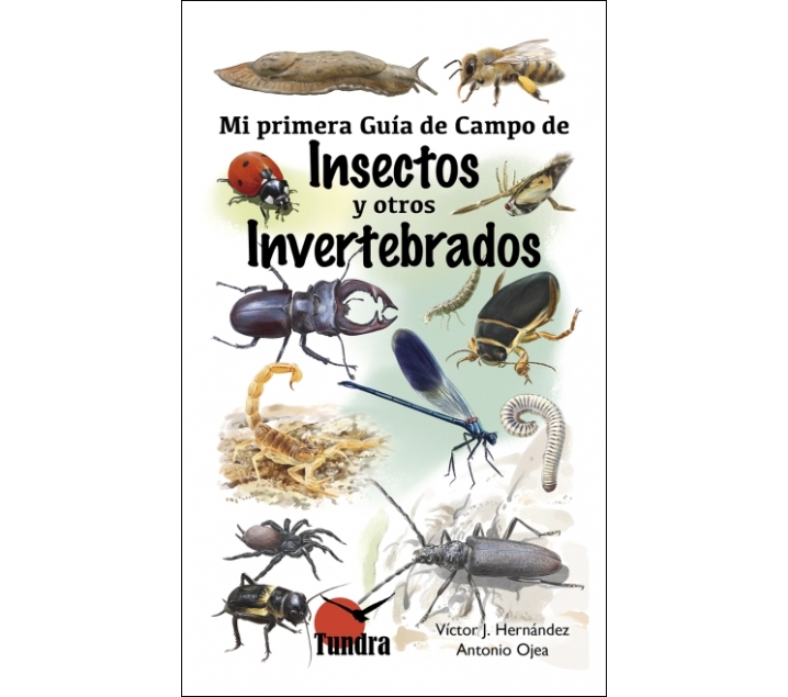 La meva primera Guia de Camp de Insectes i altres Invertebrats
