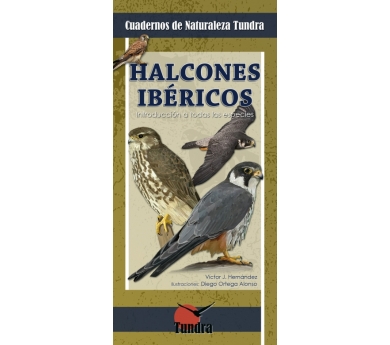 Quadern de la natura. Falcons ibèrics