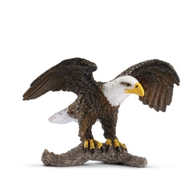 Àguila americana