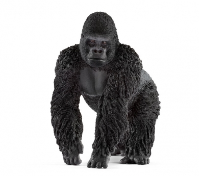 Gorila macho