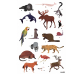 Animals del món, gran pòster amb 67 adhesius