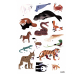 Animals del món, gran pòster amb 67 adhesius