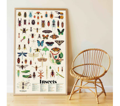 Insectos, gran poster con 44 pegatinas