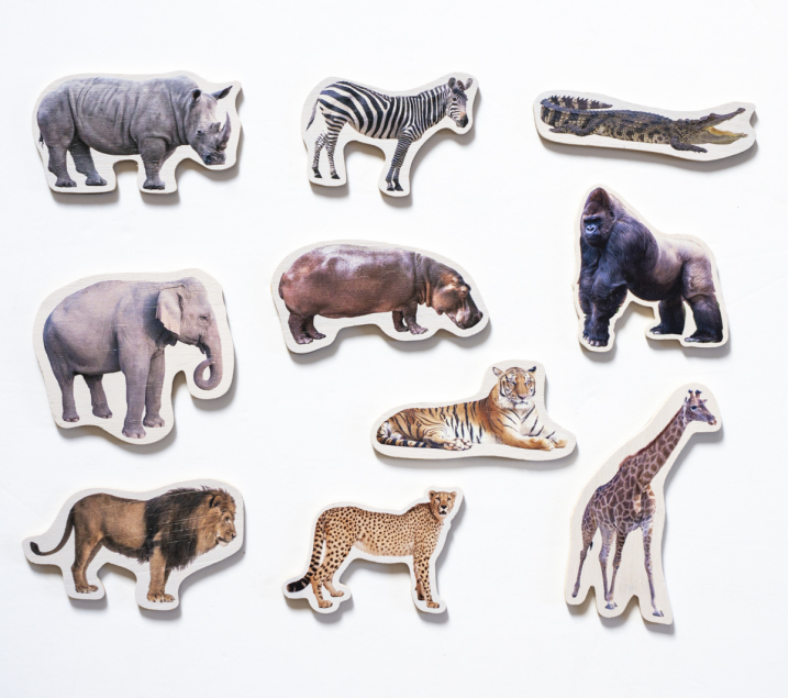 10 Animals magnètics de fusta ANIMALS SALVATGES