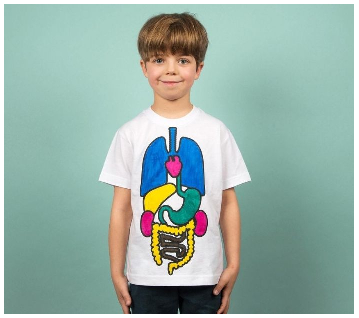 Kit para colorear una camiseta de los órganos del cuerpo humano
