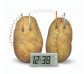 Reloj de patata Green Science
