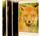 Libro de imágenes de Animales del Bosque