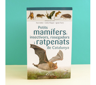 Guía desplegable 'Petits mamífers: insectívors i ratpenats de Catalunya'