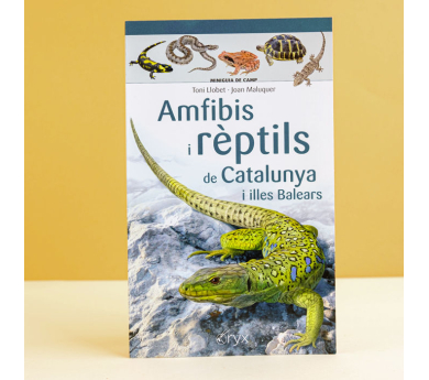 Guia desplegable 'Amfibis i rèptils de Catalunya i Illes Balears'