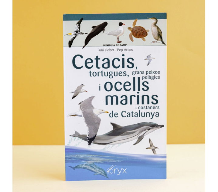 tortugues grans peixos pelàgics i ocesll marins de Catalunya Miniguia de camp Cetacis 