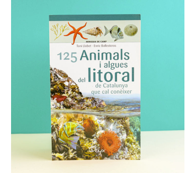 Guía desplegable '125 animals i algues del litoral'