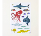 Animales marinos, gran poster con 59 pegatinas