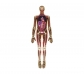 Láminas translúcidas del cuerpo humano y sus órganos